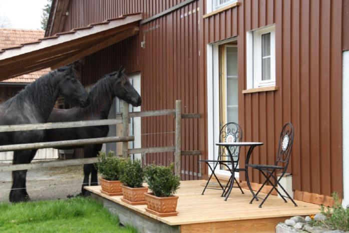 Bnb Haag Extérieur photo